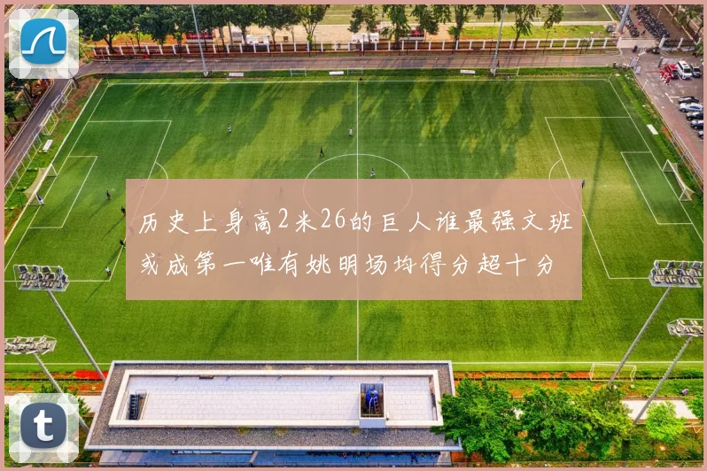 历史上身高2米26的巨人谁最强文班或成第一唯有姚明场均得分超十分