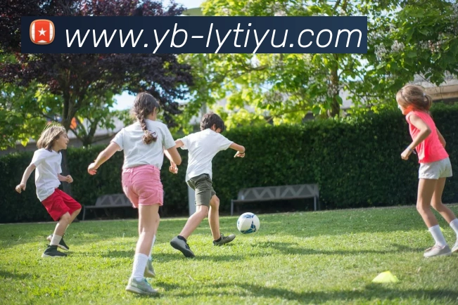 多媒体互动体验