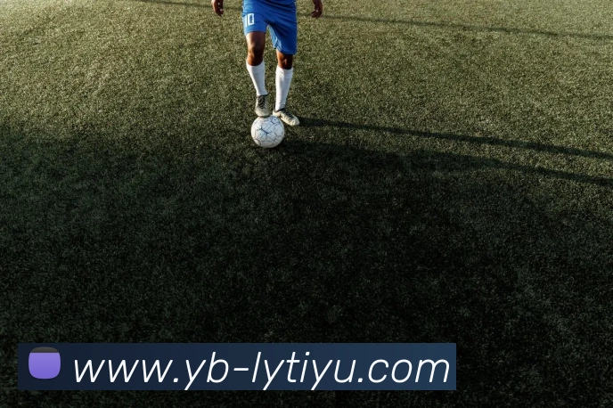 乐鱼体育APP 体育赛事宣传图