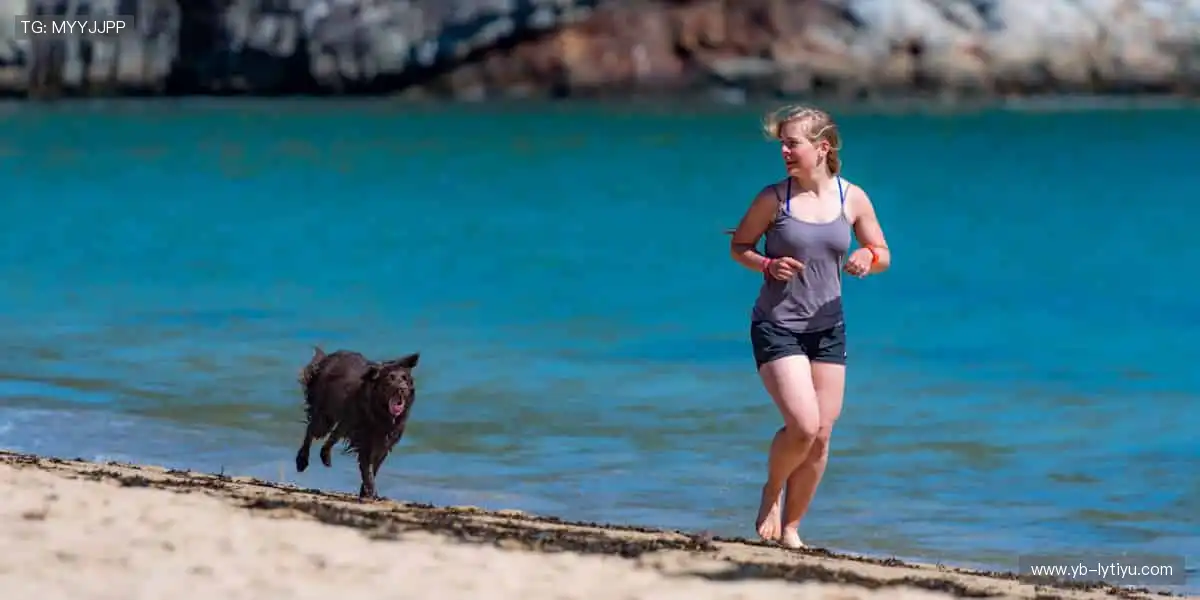速度与激情交织，赛事直播永不卡顿！💨